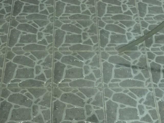 Blk 228 Tampines Street 23 (Tampines), HDB 3 Rooms #81957472